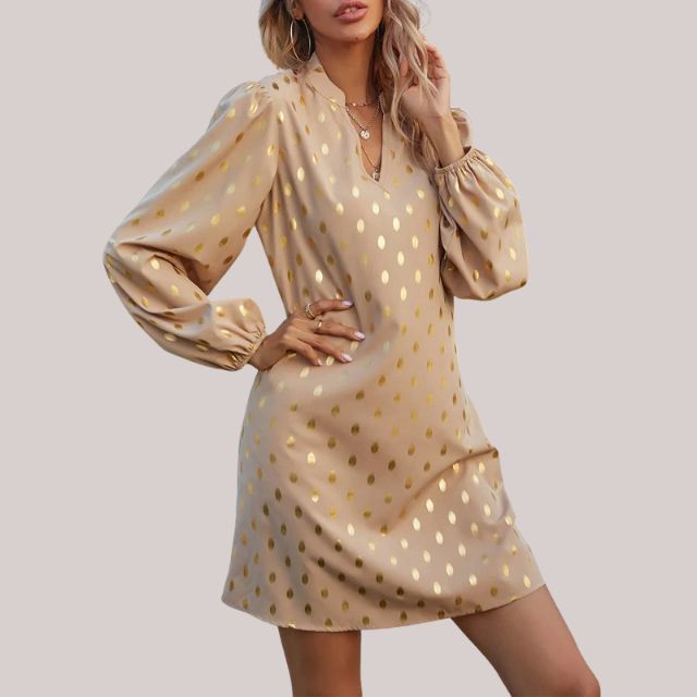 Women's V Neck Mini Dress
